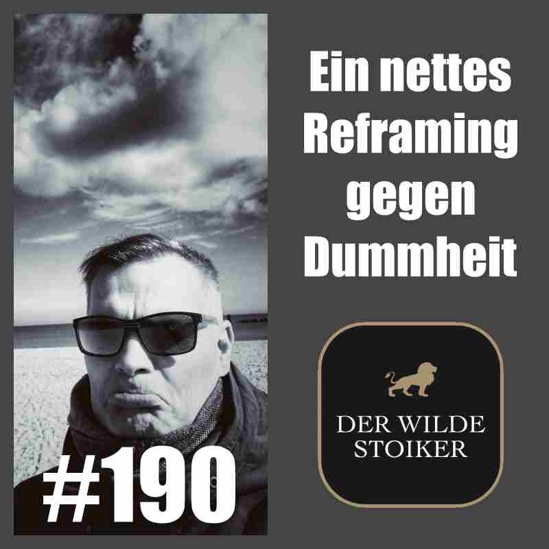 Ein nettes Reframing gegen Dummheit (#190)